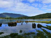 Feuerland-Nationalpark