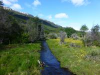 Feuerland-Nationalpark