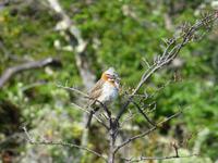 Feuerland-Nationalpark