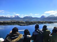 Katamaranfahrt in Feuerland