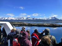 Katamaranfahrt in Feuerland