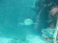 Auf Tagesausflug im Atlantis