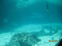 Auf Tagesausflug im Atlantis