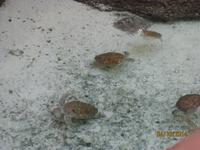 Auf Tagesausflug im Atlantis