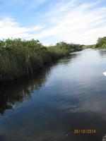Auf gehts mit dem Propellerboot durch den Everglades National Park