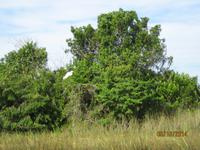 Auf gehts mit dem Propellerboot durch den Everglades National Park