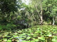Auf gehts mit dem Propellerboot durch den Everglades National Park