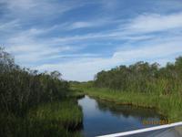 Auf gehts mit dem Propellerboot durch den Everglades National Park