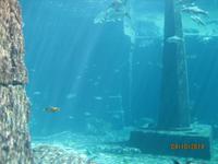 Im Atlantis