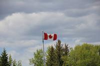 überall weht die kanadische Flagge