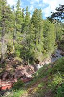 Waterton Lakes National Park - Red Rock Canyon