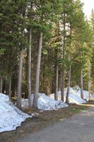 Waterton Lakes National Park - am Cameron Lake