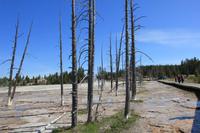 Yellowstone National Park - Lower Geyser Basin