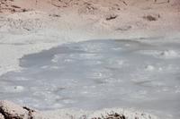 Yellowstone National Park - Lower Geyser Basin