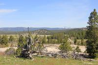 Yellowstone National Park - Lower Geyser Basin