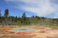 Yellowstone National Park - beim Old Faithful Visitor Center
