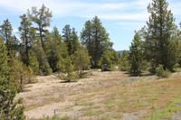 Yellowstone National Park - beim Old Faithful Visitor Center