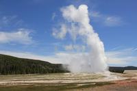 Yellowstone National Park - Old Faithful Geyser