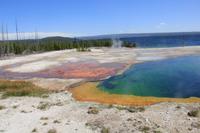 Yellowstone National Park - West Thumb Geyser Basin