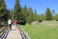 Yellowstone National Park - West Thumb Geyser Basin