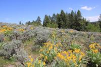 Grand Teton National Park