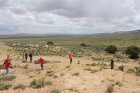 Red Desert