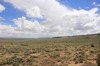 Red Desert