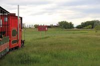 Terry Bison Ranch