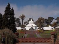Das Palmenhaus im Golden Gate Park, San Francisco