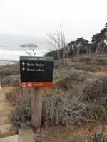 Es geht hinunter zu den Sutro Baths