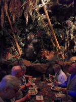 Abendessen im Rainforest (Regenwald) Café