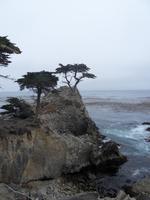 So einsam ist es hier anscheinend gar nicht