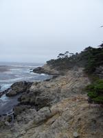 Die Westküste am 17 Mile Drive