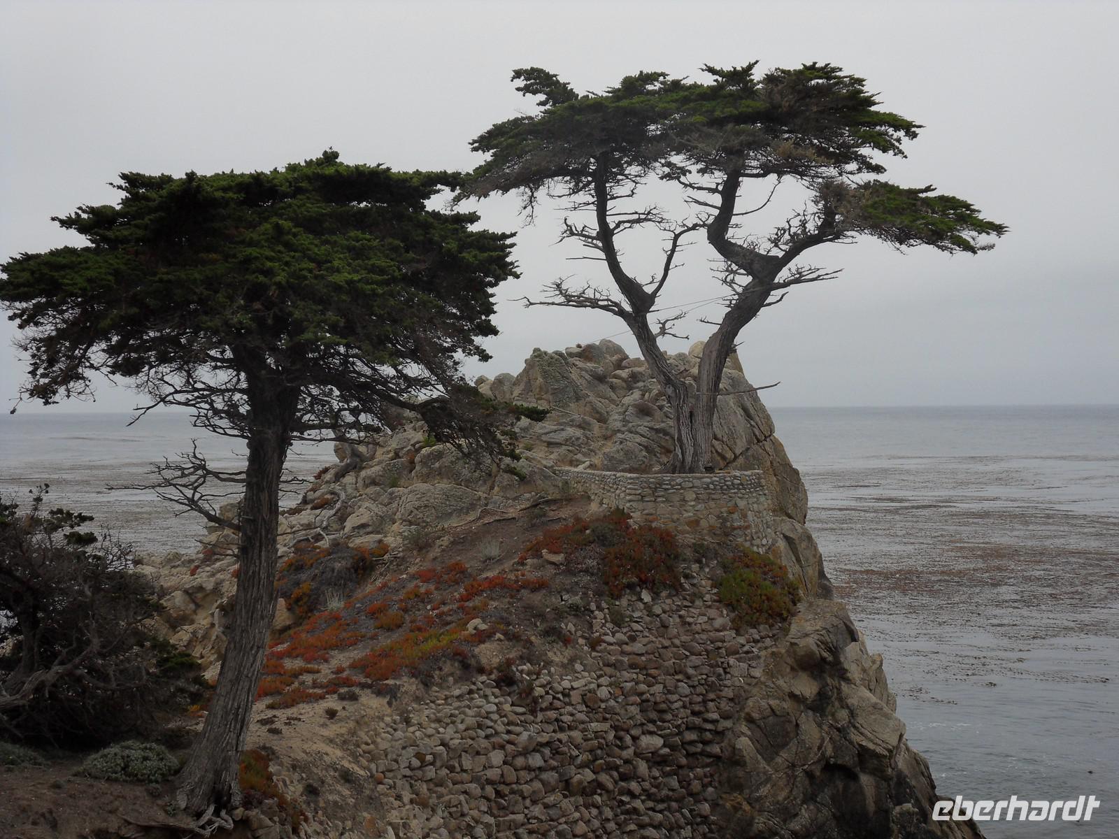 So einsam ist es hier anscheinend gar nicht