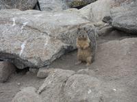wir werden neugierig beäugt