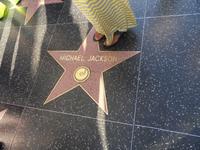 Welcome to Hollywood!