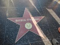 Die Stars und Sternchen...