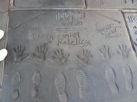 ... haben sich in Hollywood verewigt!