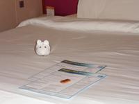 allabendliche Begrüßung auf der Kabine