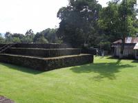 Die Ruinen von Izapa