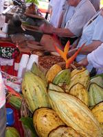 wie Kakao gemacht wird