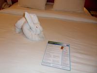 allabendliche Begrüßung auf der Kabine