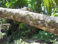 Wer findet unseren gut getarnten 