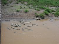 Bei den Nachbarn wohl eher nicht!