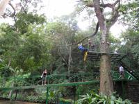 Der Baumkronenpfad einmal anders