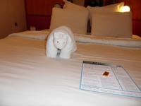 allabendliche Begrüßung auf der Kabine