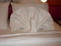 allabendliche Begrüßung auf der Kabine