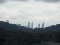 Die Hochhäuser von Panama-Stadt