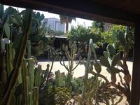 Los Angeles