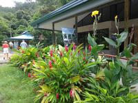 Puntarenas